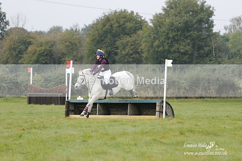  WWHT 171021 0838 - Open Novice (0.80m)  17/10/21