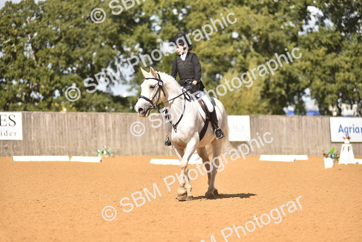 SBM_03108 - D4 - Small Tour Championship Intro 4