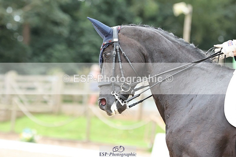 240810-152222-03983 - 306-Emily.Coller-Flabbergasted