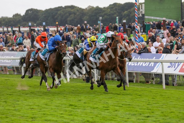 220824-Race 6-Angel Hunter-7860 - Race 6 4.45pm sensory-junction.co.uk Autism Awareness EBF Stallions Nursery Handicap