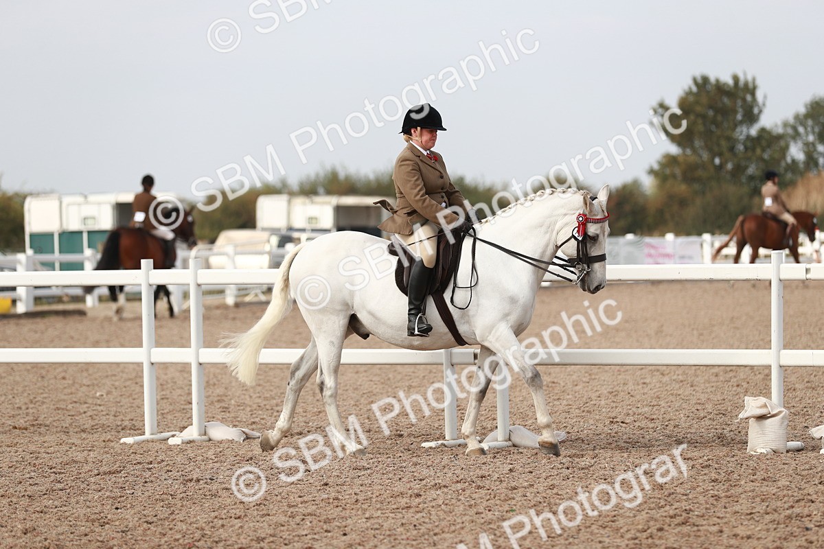 SBM_17435 - Class 215 Ridden Hack/ Riding Horse