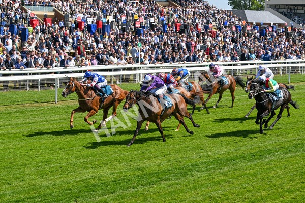 160525-Race 2-Thunder Run-6246 - Race 2 2.42pm Knights Solicitors Handicap