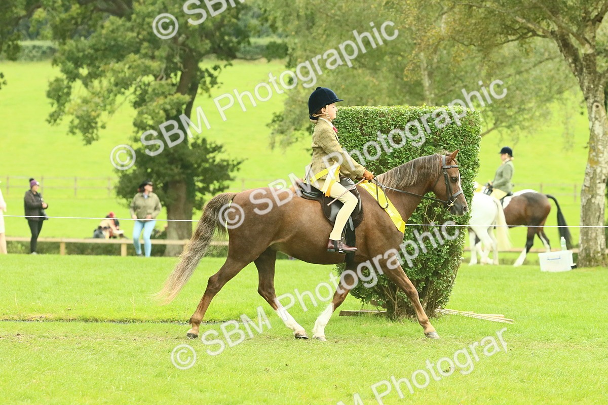 SBM_74982 - Ridden Pony Supreme Championship
