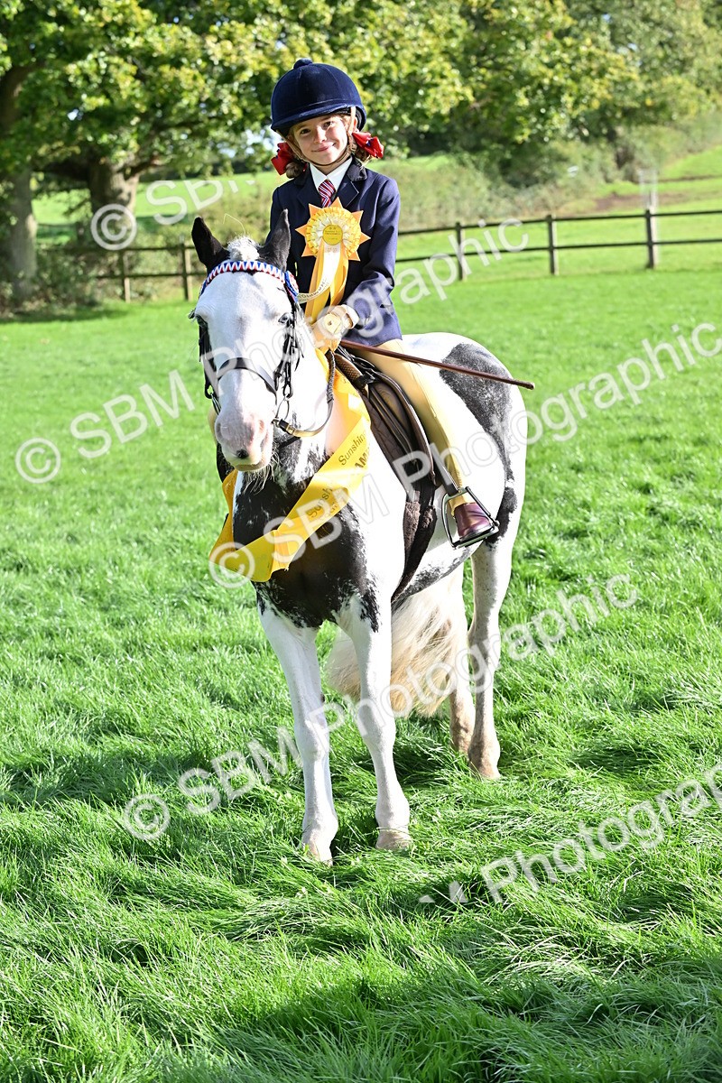 SBM_51273 - S22 - First Ridden show and show Hunter Pony