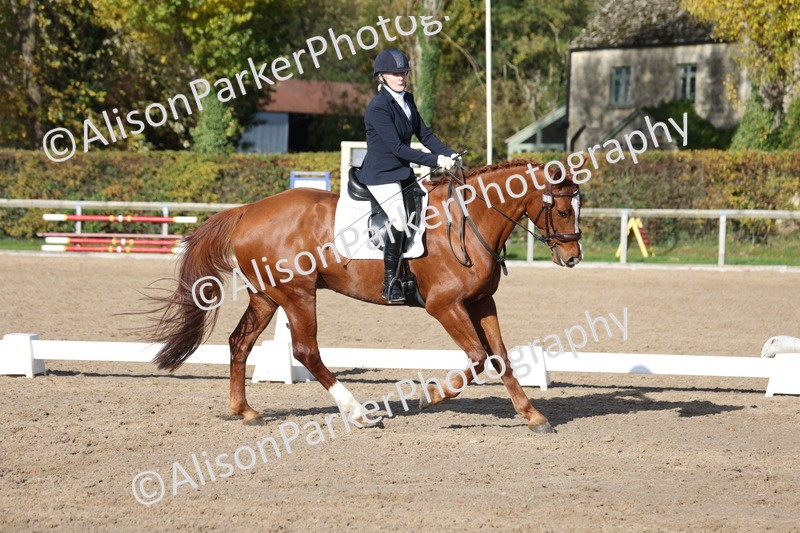 20251102-0709 - Class 4 - Novice 6