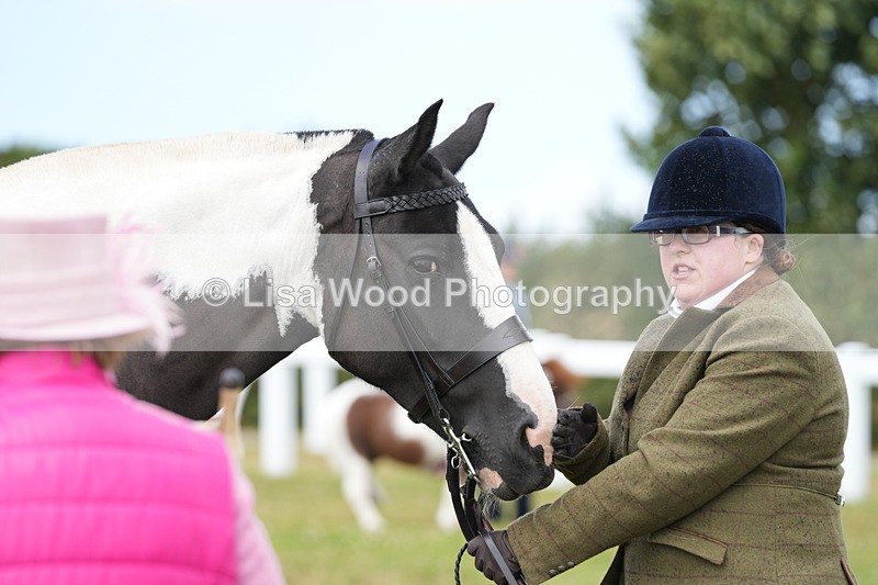 DSC06923 - Class 60: Coloured Pony 4yrs & over