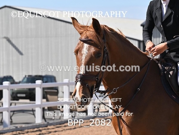 BPP_2082 - CLASS 4. - FRI - Senior Discovery/1m Open