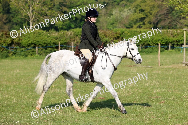 20250427-0506 - Class 17 - Novice Showing