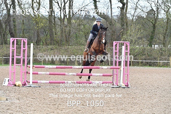 BPP_1050 - CLASS 2 Club/ Unaffiliated 80cms Open