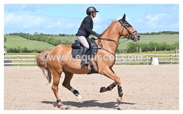 BPP_1091 - CLASS 4 FRI Newcomers/ 1.10m Open