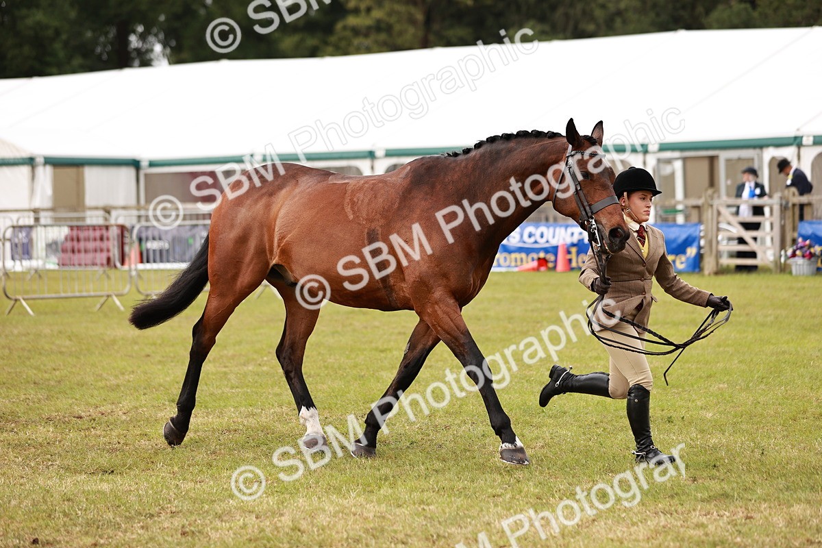 SBM_10886 - Class 81-84 - RIHS Ridden hunters Inc Ladies Hunter