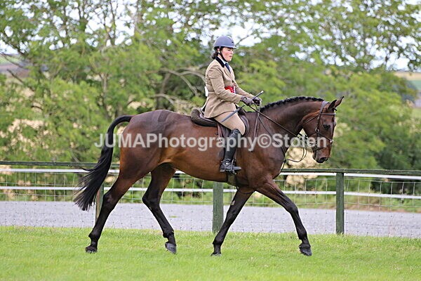 SIAL7718 - championships