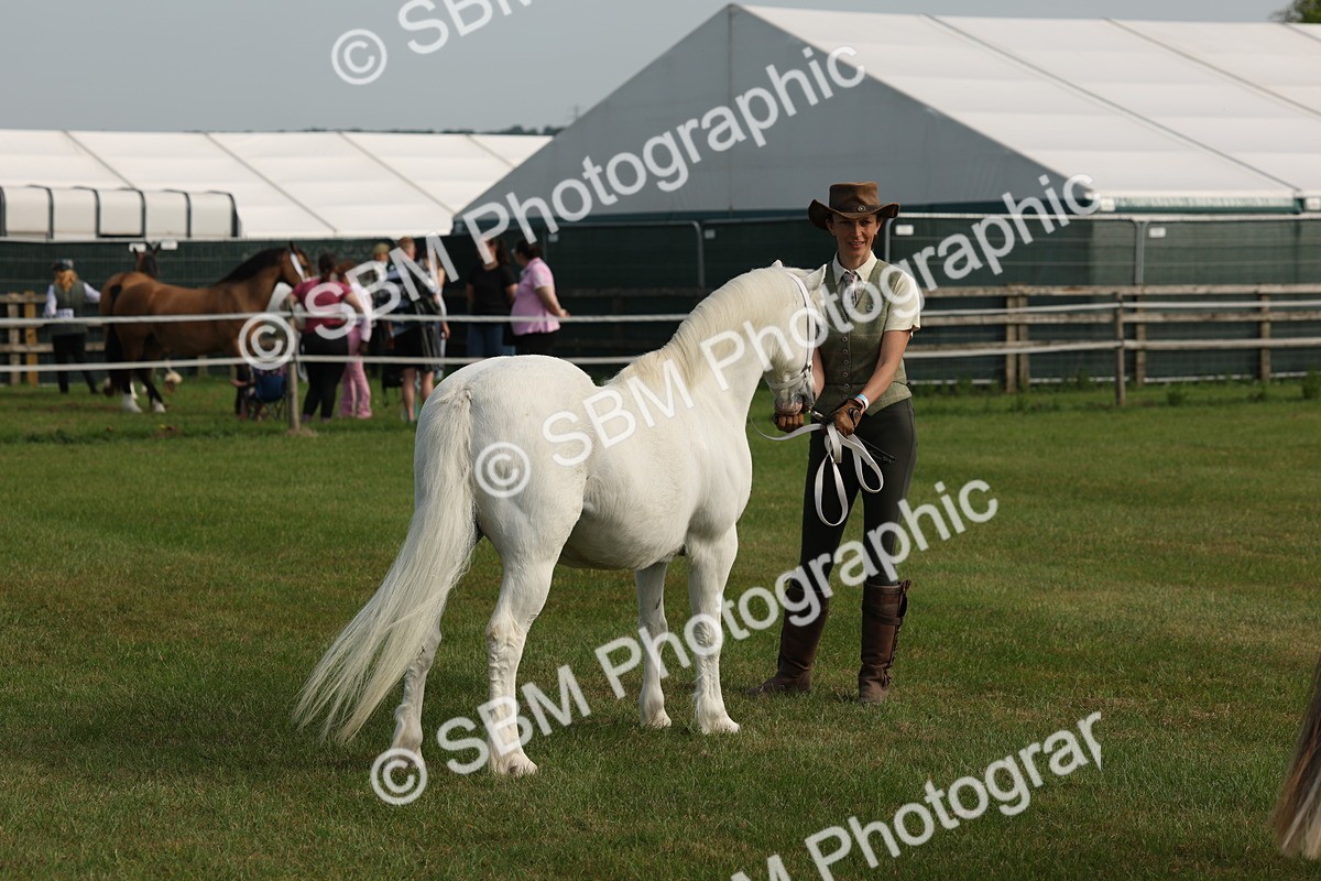 SBM_00581 - Class 6-13 - Mountatin and Moorland In Hand Welsh Breeds