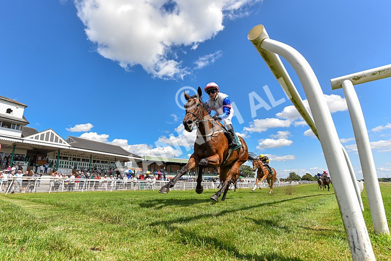 080726-Race 3-Warby-2144 - Race 3 15.00pm Racing TV Profits Returned To Racing Fillies' Restricted Novice Stakes