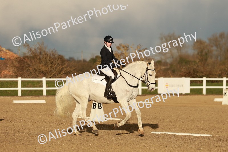 20260314-6393 - CT7 - Elementary 2