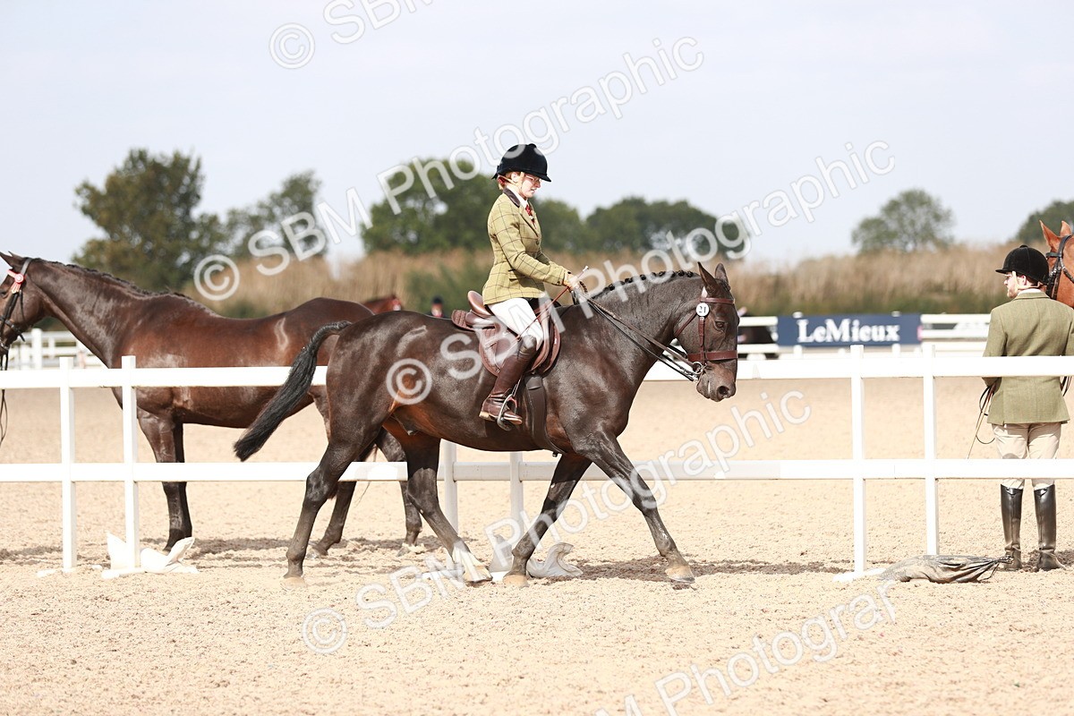 SBM_14816 - Class 212 Ridden Hunter - Small
