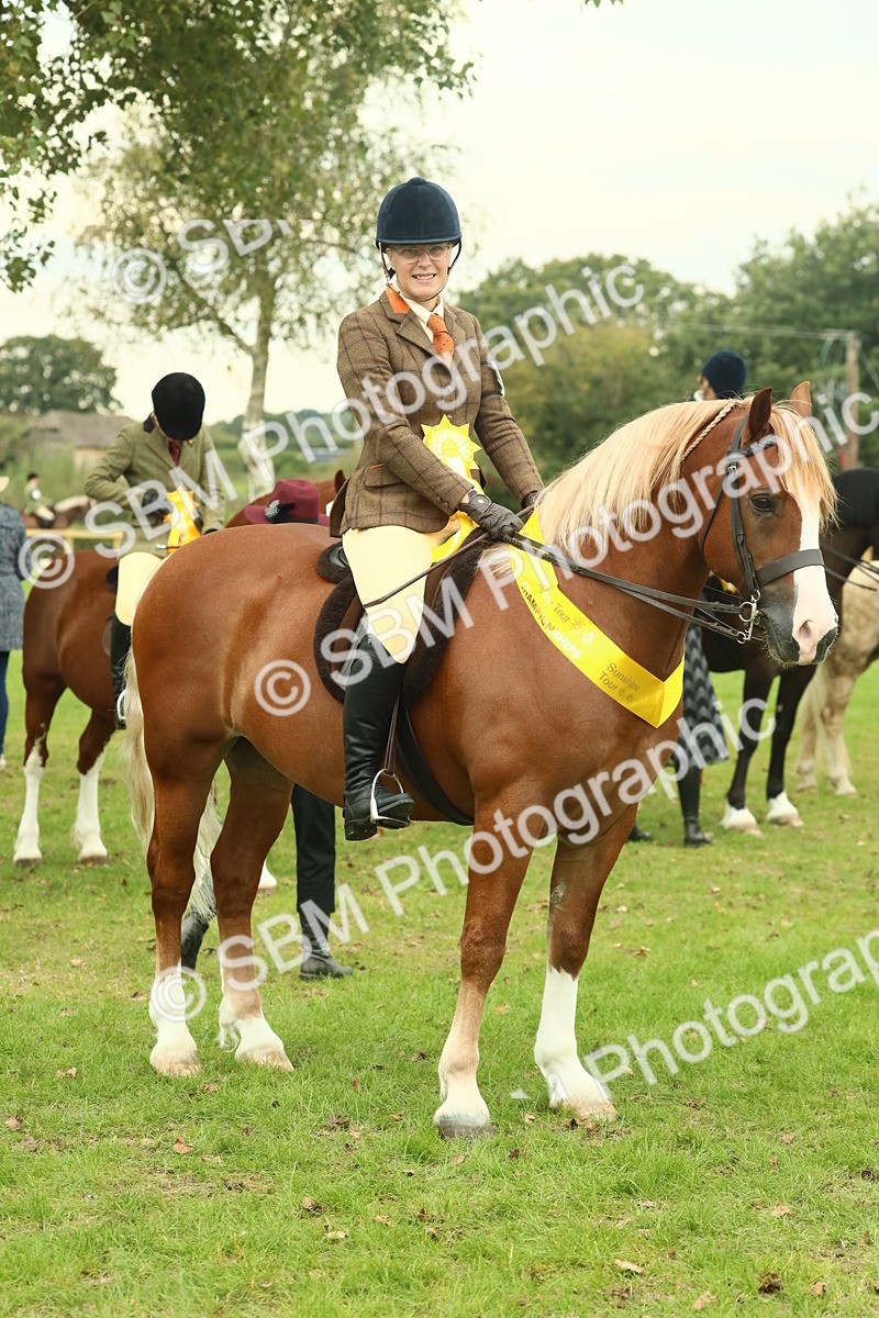 SBM_72297 - S60 - Mountain & Moorland Ridden Large Breeds