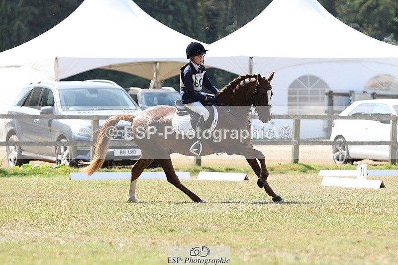 250823A-122028-29769 - Arena C