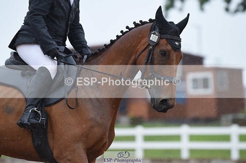 230708A-133514-03027 - Novice 24