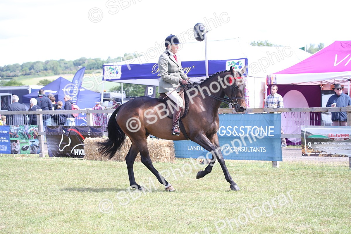 SBM_13327 - Class 95-96 - LIHS BSHA Rising Star Hack Riding Horse