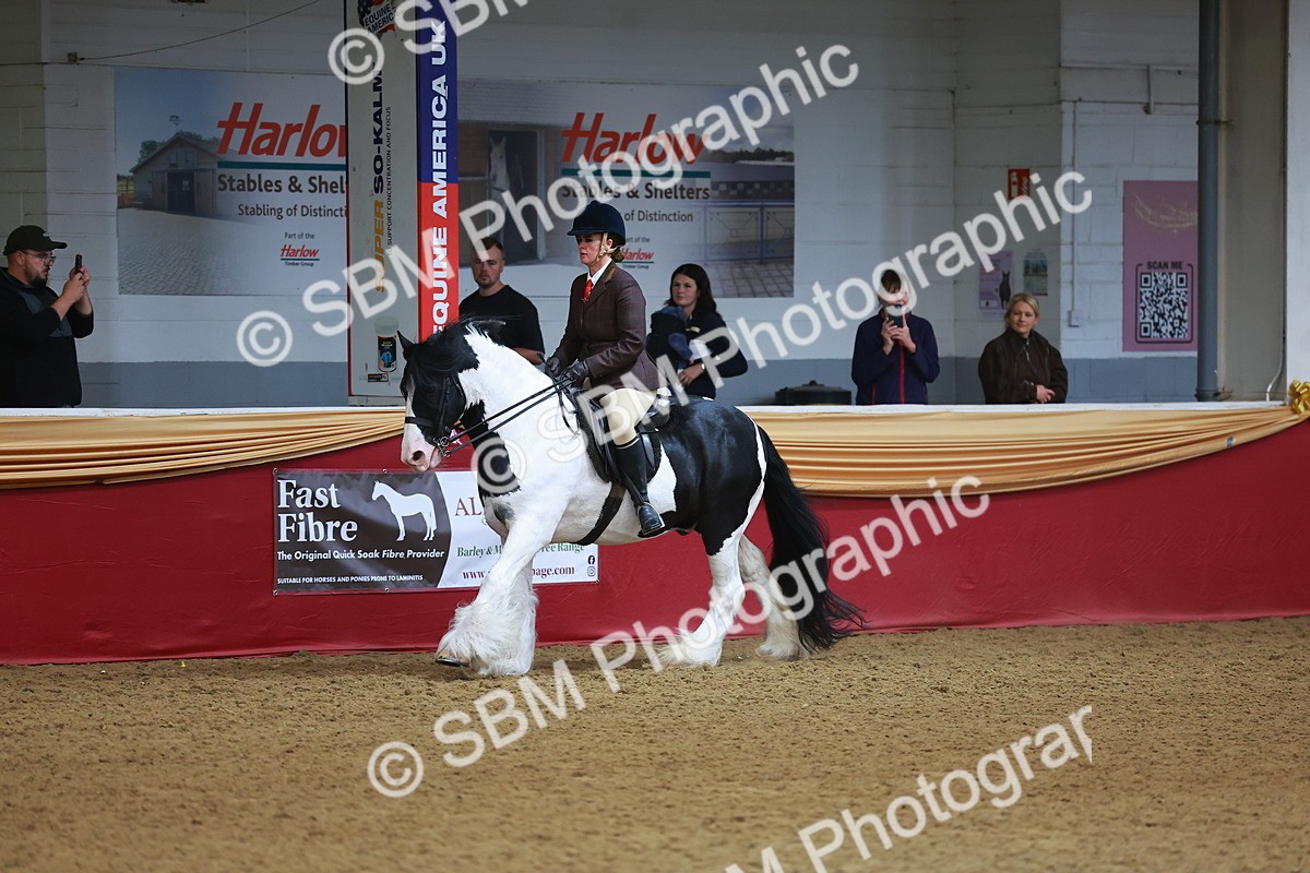 SBM_09751 - Class 102 - HOYS Veteran Qualifier - Ridden Veteran