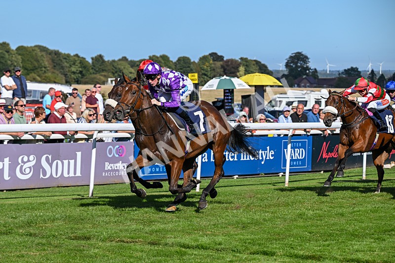 220926-Race 3-Call Me Tomorrow-3626 - Race 3 2.40pm Christmas Parties R Us Restricted Novice Stakes