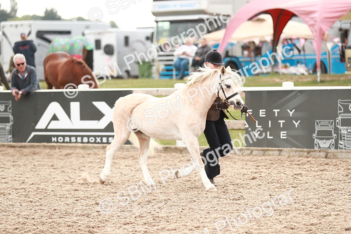 SBM_12441 - Class 207 IH M&M