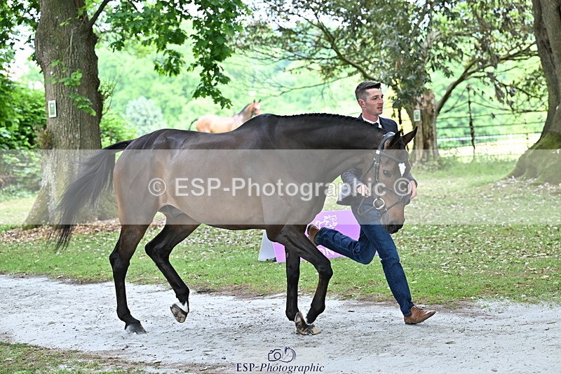 250521A-152332-00475 - B-359-Tom.Jackson-BROOKFIELD.WILLIAM