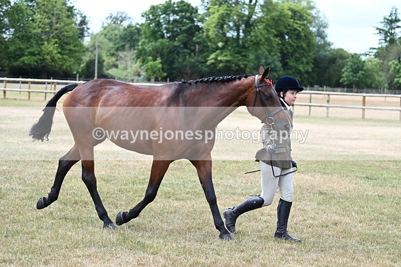 WJ7_1904 - Class 4a Prettiest Mare 14.2hh and over hand