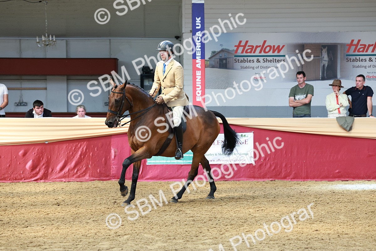 SBM_14923 - Class 108 - Ridden Retired Racehorse
