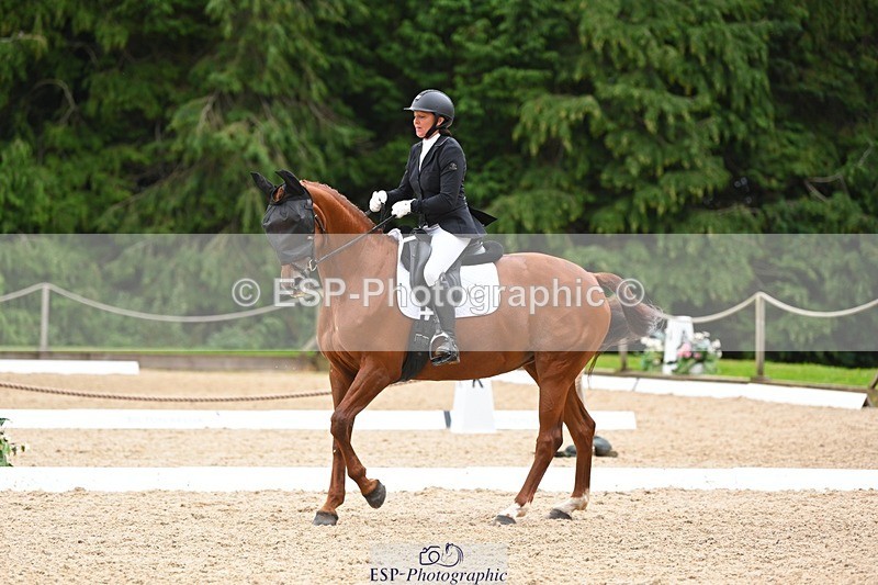 230813-143313-07788 - Cls 13 Medium Bronze 13.15 to End