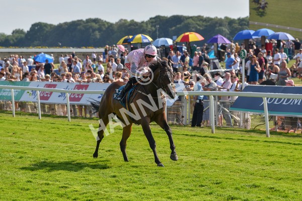 160623-Race 6-Another Investment-6504 - Race 6 4.45pm Irish Thoroughbred Marketing Handicap