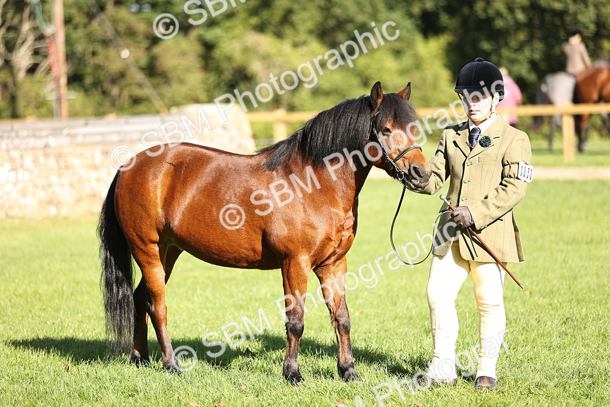 SBM_15931 - S1 - TSR in Hand Horse & Pony Showing