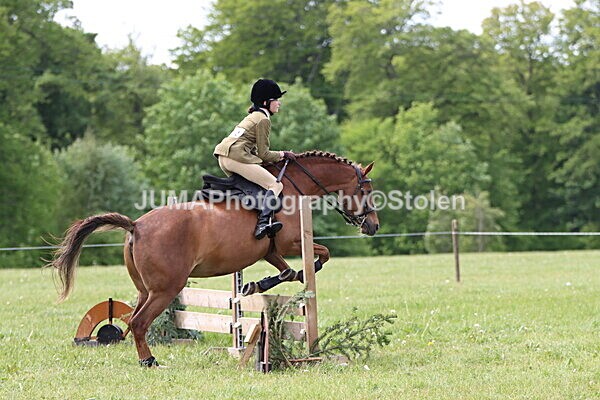 IMG_3003 - Working Hunter