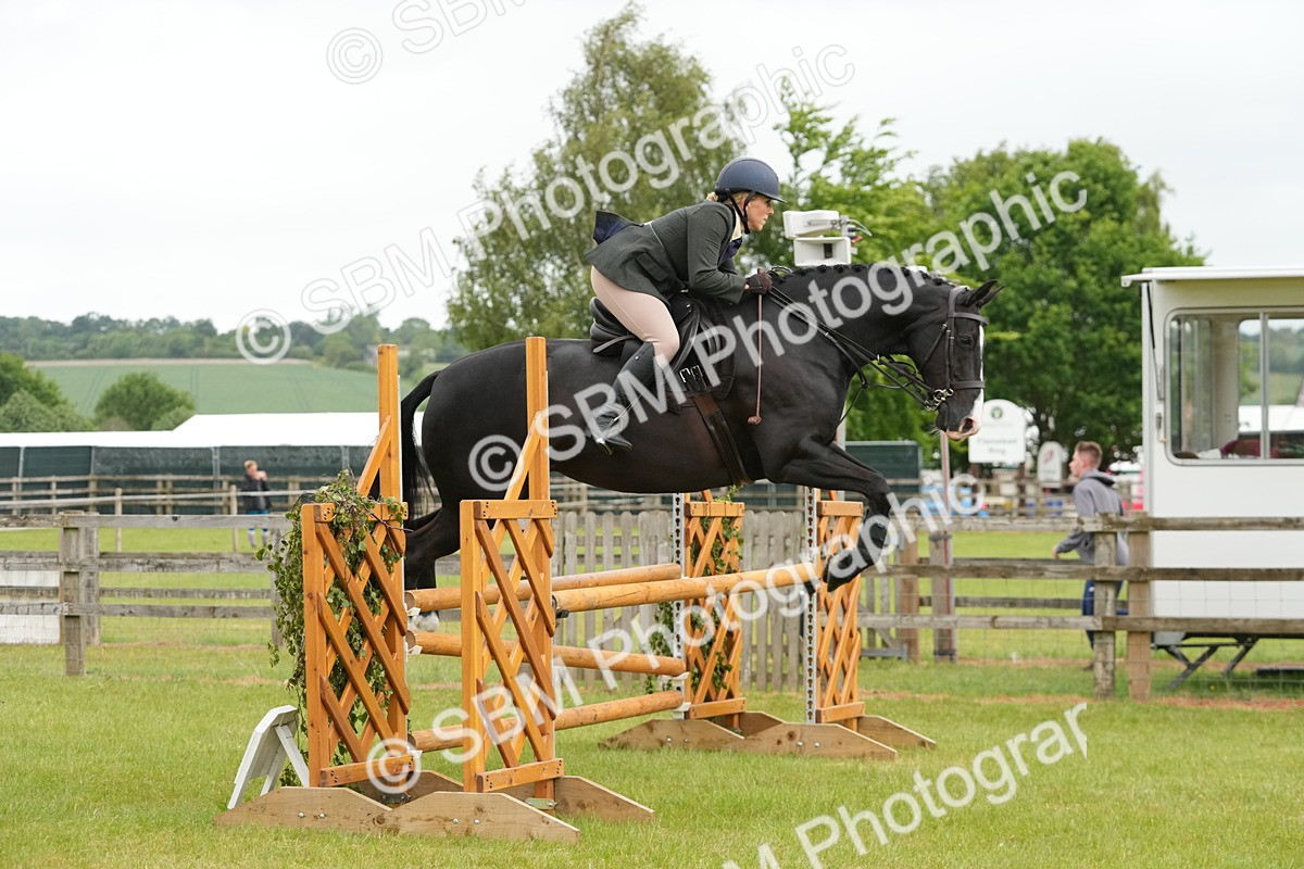 SBM_12582 - Class 97-98 - LIHS BSHA Rising Star Working Show Horse Hunter