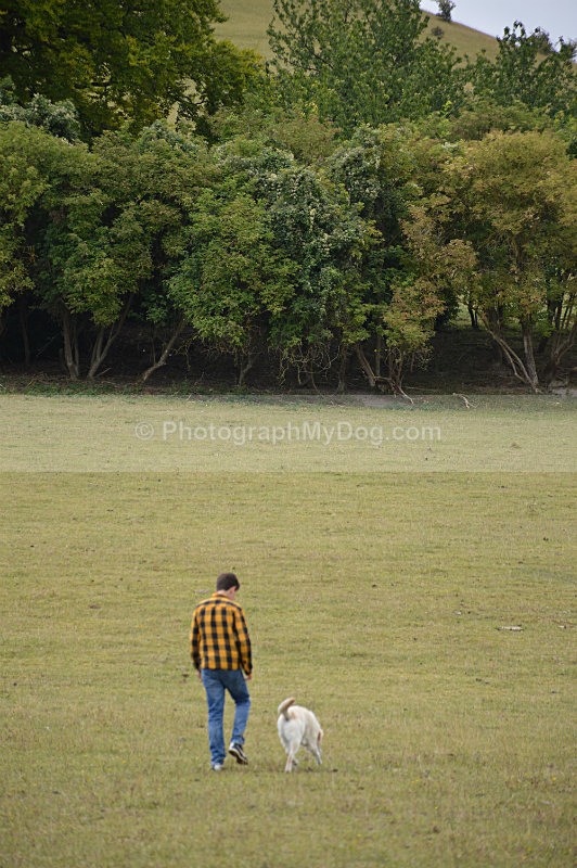  - Man's Best Friend