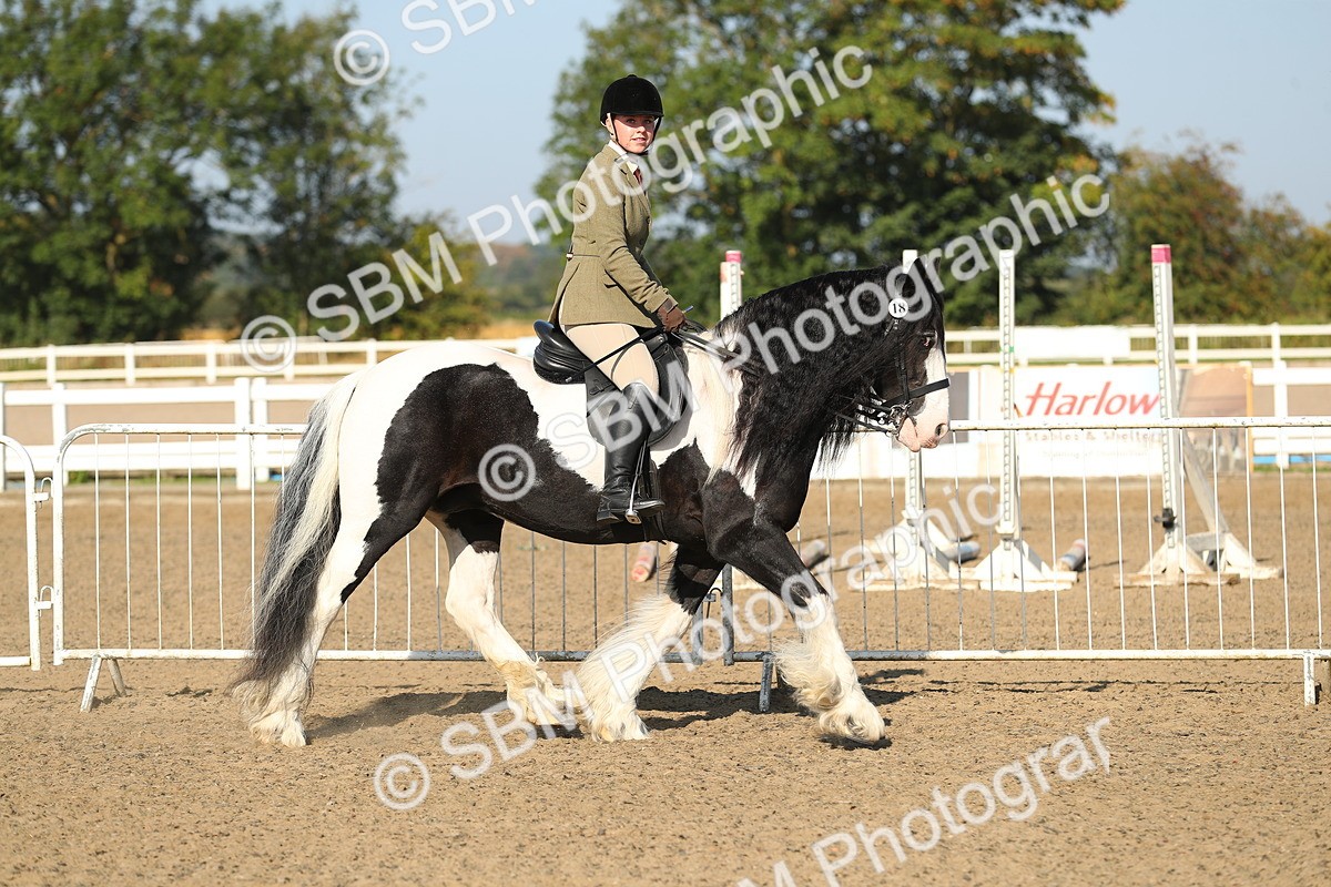 SBM_01116 - Class 42 Ridden Veteran