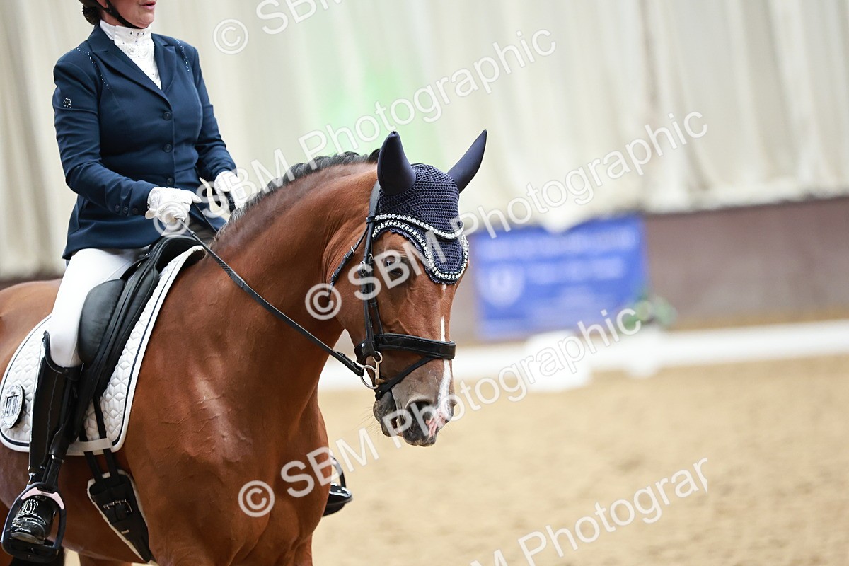 SBM_014254 - Class 7 - Ele FSM Bronze 12.12.13.08