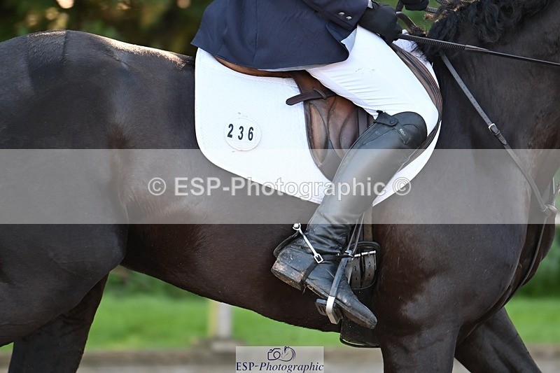 231022-095716-23144 - 236-FAIRLIGHT.ALLEGRA-Jonny.Lee-SJ