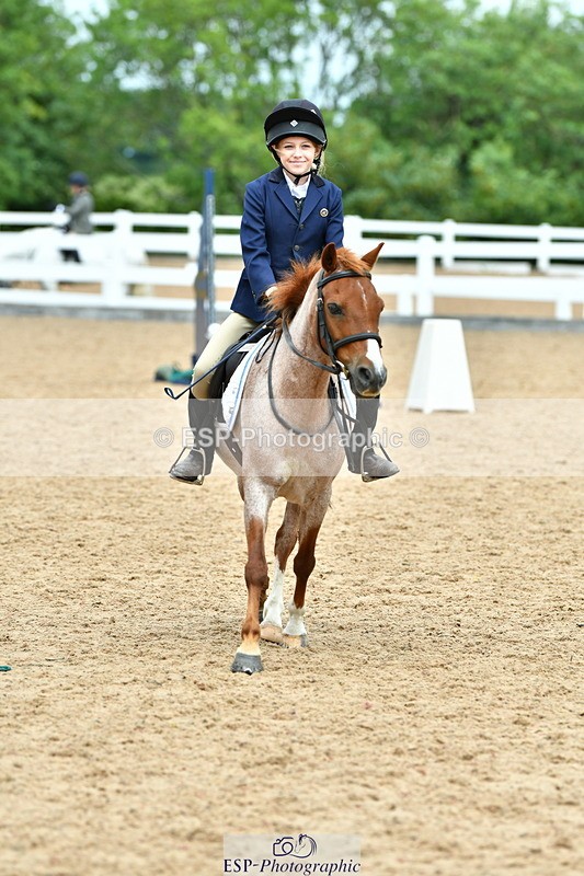 230804A-115908-02418 - Showjumping Competition