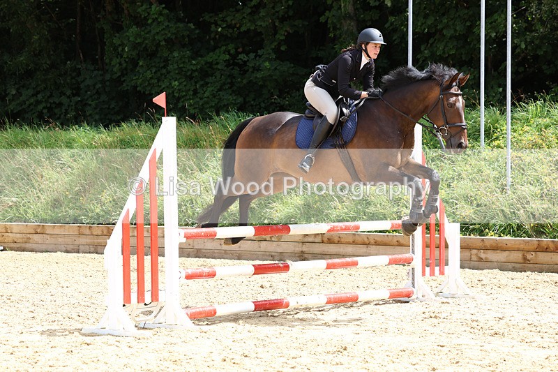 3E7A0208 - Class 9: Senior British Novice/90cm open