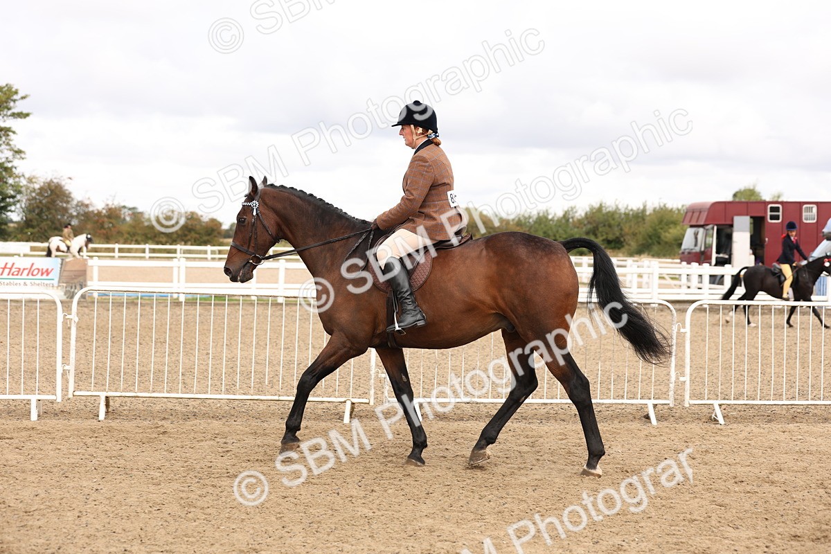 SBM_02862 - Class 53 - Ridden Competition Horse/Pony