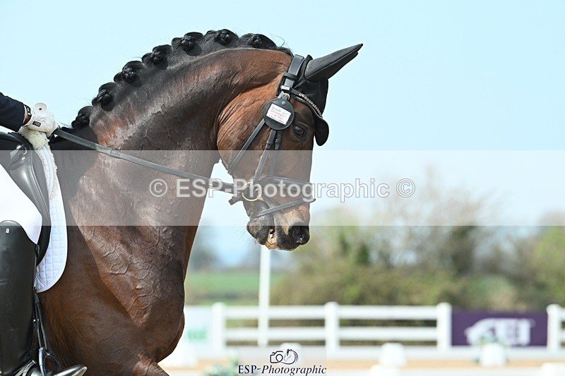 250403-120844-02244 - 048-Angus.Corrie-Deane-Maigret.VD.Watermolen