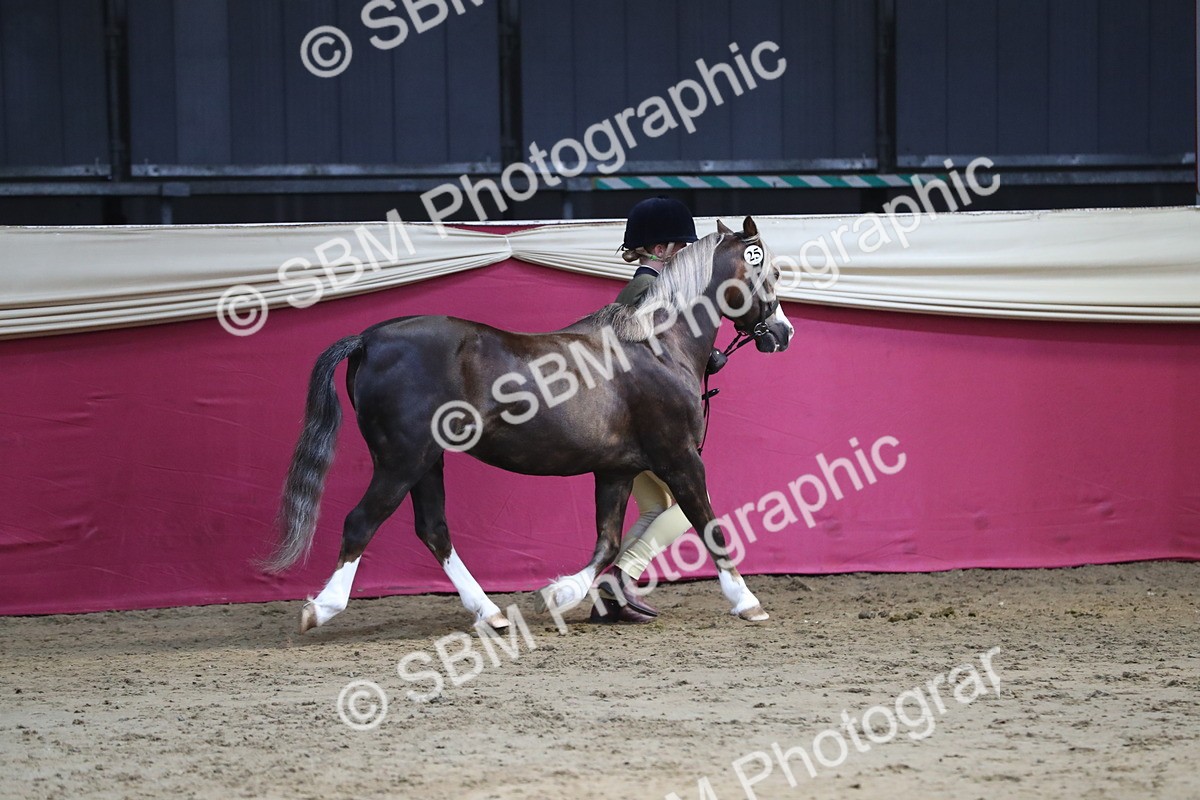 SBM_06534 - Regional IH Champ
