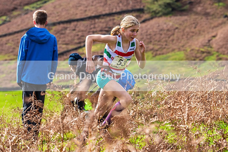 Wasdale Show-22 - Wasdale Head Show Fell Races (Junior & Senior) Saturday 14th October 2023
