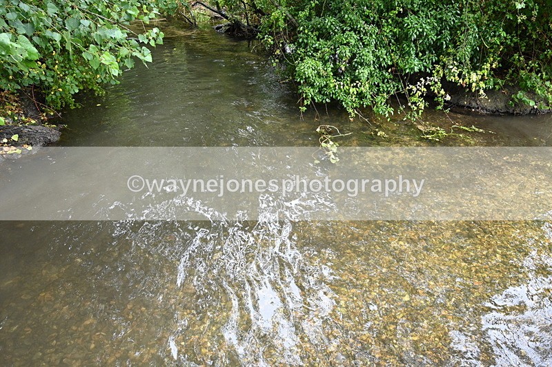 WJ7_9032 - Group 5