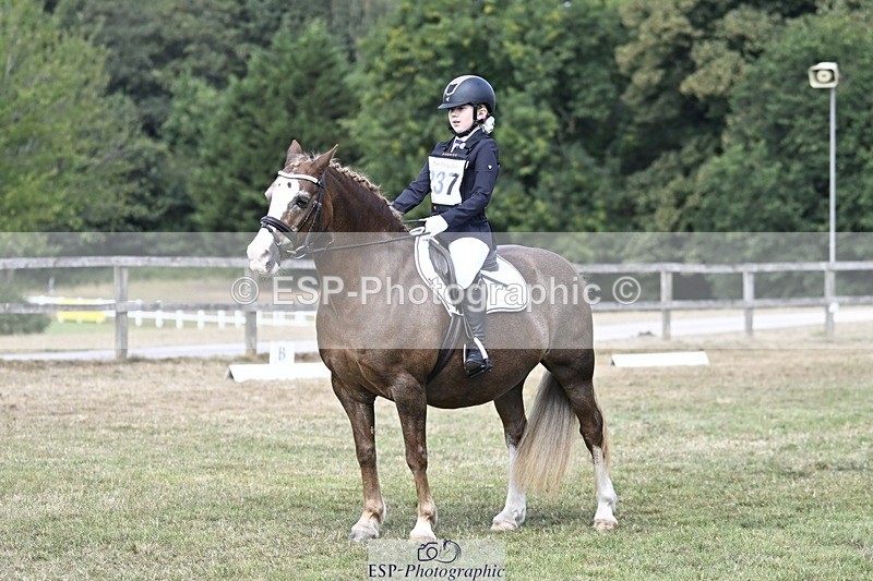 250821A-123359-15592 - DR 11.00 to 12.00