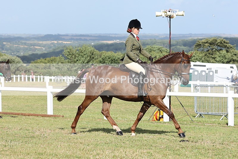 JPP_2861 - Class 20: Working Hunter 70cm