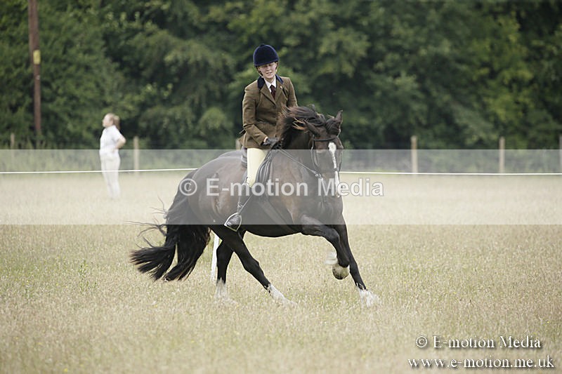 B230619-0513 - Bourne Valley Riding Club Summer Show 23/06/19