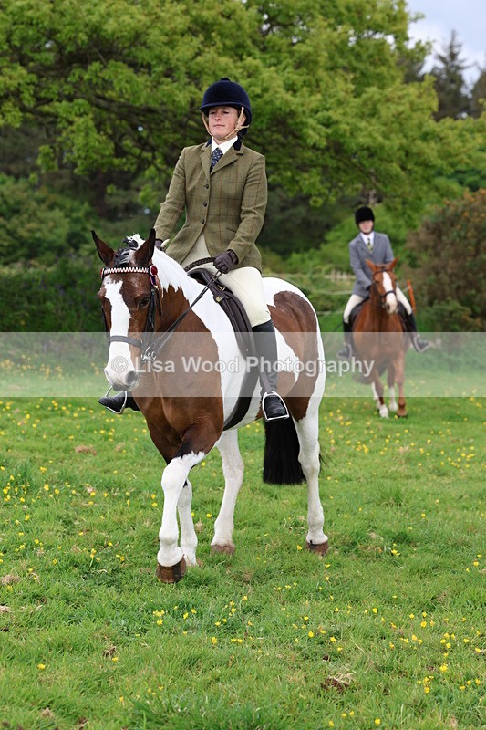 3E7A1460 - Class 8: Ridden Veteran Junoir and Senior